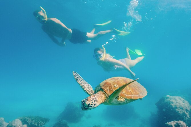 Snorkelling and Glass Bottom Boat at Green Island from Cairns - Weather, cancellations, and a few smart tips