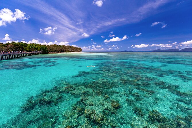 Snorkelling or Glass Bottom Boat at Green Island from Cairns - What the $87.50 price really covers