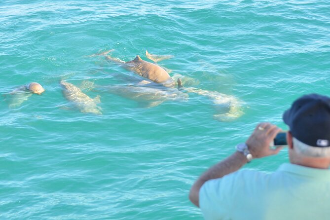 Snubfin Dolphin Eco Cruise from Broome - The boom-net swim, if conditions allow