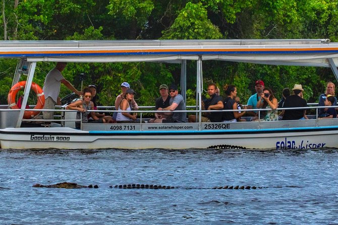 Solar Whisper Daintree River Crocodile and Wildlife Cruise - Key points to know before you book