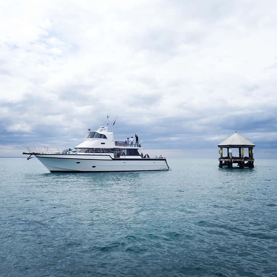 Sorrento,Mornington Peninsula: Wildlife & Sightseeing Cruise - Setting off from Sorrento Pier
