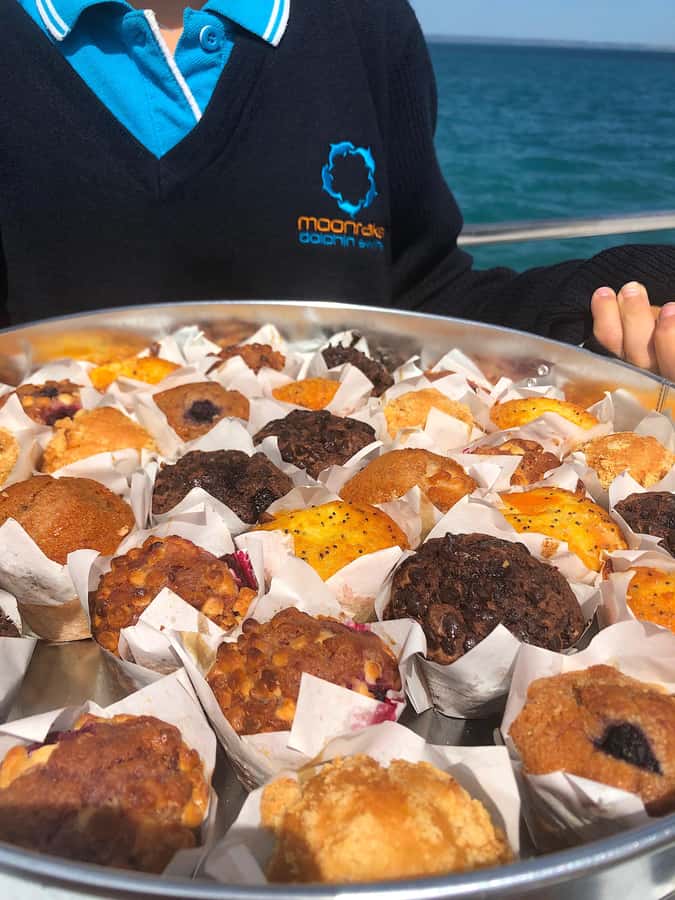 Sorrento,Mornington Peninsula: Wildlife & Sightseeing Cruise - Local guides and the feel of the trip