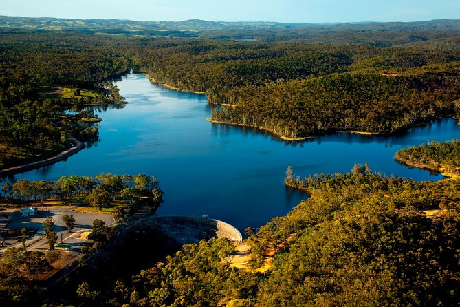 Southern Barossa: 10-Minute Helicopter Flight - Seeing the Barossa in ten minutes