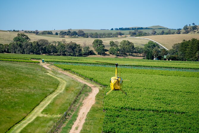 Southern Barossa: 10-Minute Helicopter Flight - Jacob’s Creek and the 1.4-million-litre tanks
