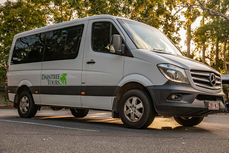 Southern Daintree Explorer Tour - Half Day - Reading the rainforest with a guide