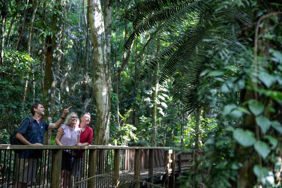 Southern Daintree Explorer Tour - Half Day - Is $101 a good value?