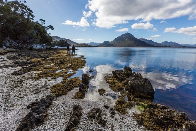 Southwest Tasmania Wilderness Experience: Fly Cruise and Walk Including Lunch - The bush walk and the value of seeing the park on foot