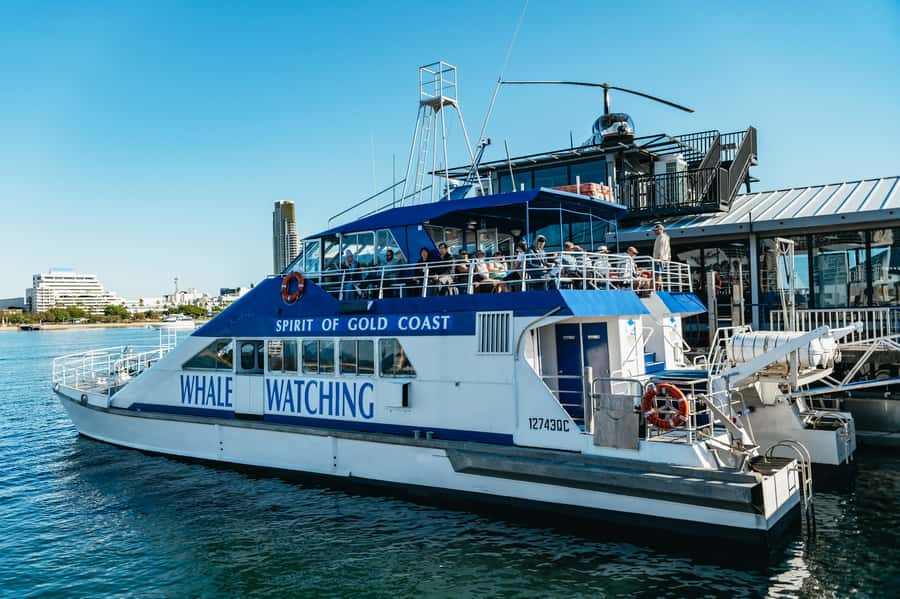 Spirit of Gold Coast 2.5-Hour Whale Watching Tour - Key points before you book