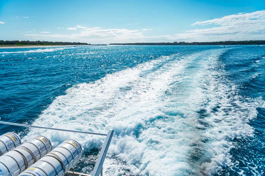 Spirit of Gold Coast 2.5-Hour Whale Watching Tour - Watching humpbacks in their natural setting