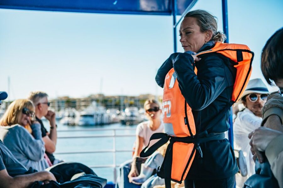 Spirit of Gold Coast 2.5-Hour Whale Watching Tour - Beyond whales: dolphins, birds, and changing conditions