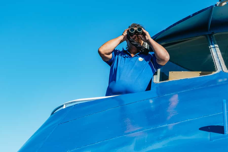 Spirit of Gold Coast 2.5-Hour Whale Watching Tour - What the marine commentary adds