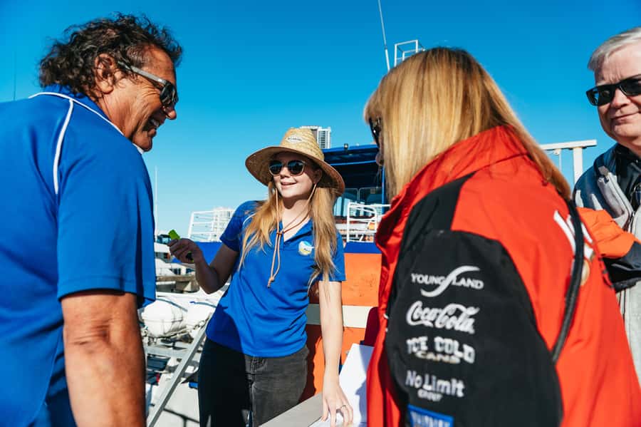 Spirit of Gold Coast 2.5-Hour Whale Watching Tour - Is $49 good value?