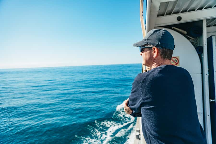 Spirit of Gold Coast 2.5-Hour Whale Watching Tour - A 24-meter catamaran built for whale watching