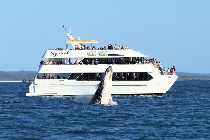 Spirit of Hervey Bay Whale Watching Cruise - Leaving Whale Bay Marina for Platypus Bay
