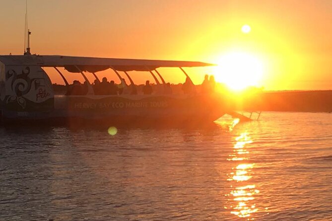 Spirit of Hervey Bay Whale Watching Cruise - Commentary that adds meaning to the sightings