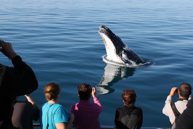 Spirit of Hervey Bay Whale Watching Cruise - Tea, drinks, and the practical comfort factor