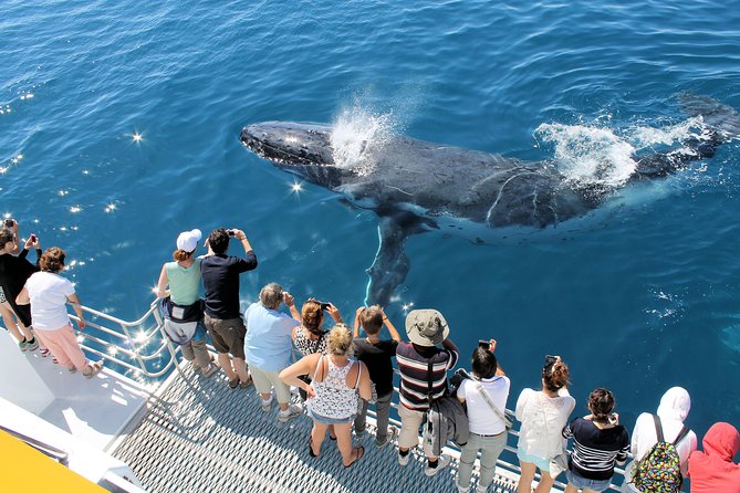 Spirit of Hervey Bay Whale Watching Cruise - Timing, meeting point, and cancellation terms