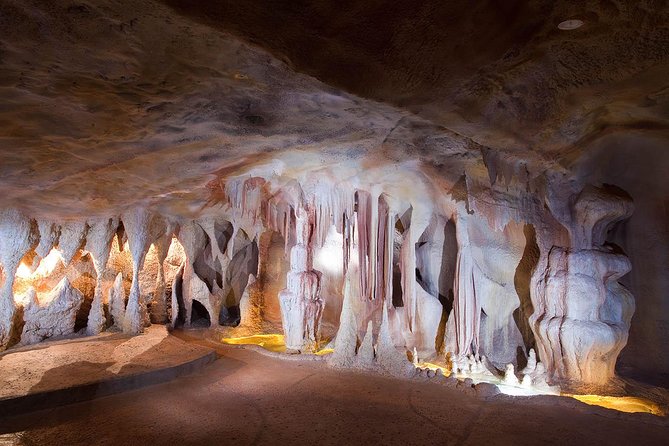 Springbrook andTamborine Rainforest Tour Incl Natural Bridge and Glow Worm Cave - Curtis Falls and the Joalah National Park rainforest