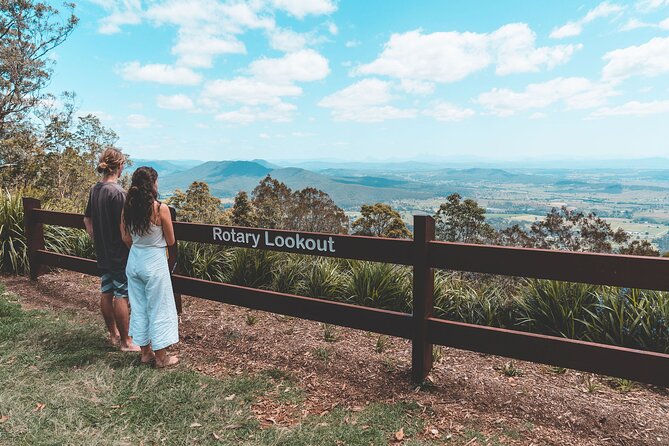 Springbrook andTamborine Rainforest Tour Incl Natural Bridge and Glow Worm Cave - Gallery Walk and an hour to set your own pace