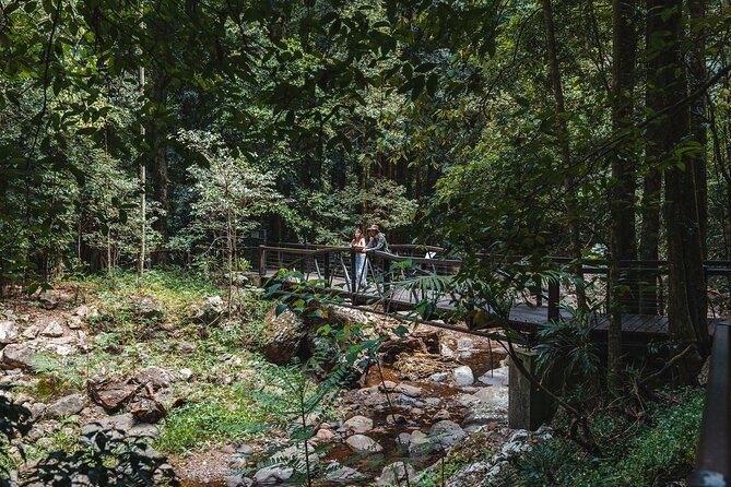 Springbrook andTamborine Rainforest Tour Incl Natural Bridge and Glow Worm Cave - Hinze Dam and the chance of seeing wild animals