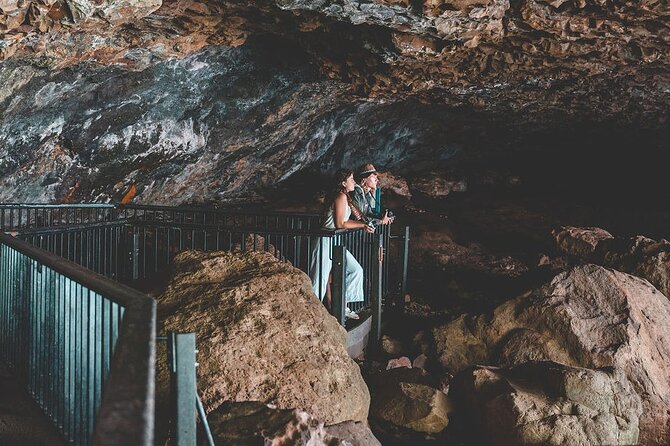 Springbrook andTamborine Rainforest Tour Incl Natural Bridge and Glow Worm Cave - What the guides add to the day
