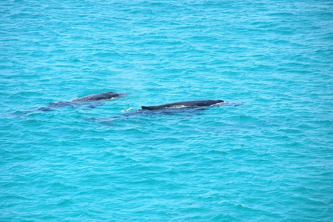 Stradbroke Island 4WD Day Trip from Brisbane - Key points at a glance