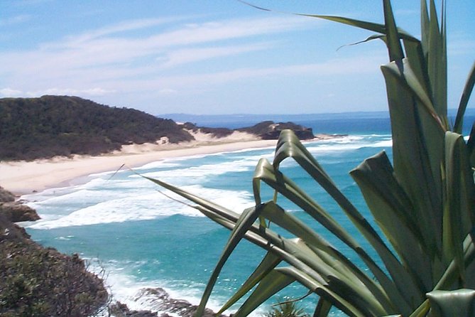 Stradbroke Island 4WD Day Trip from Brisbane - Amity Point Jetty and the chance of dolphins