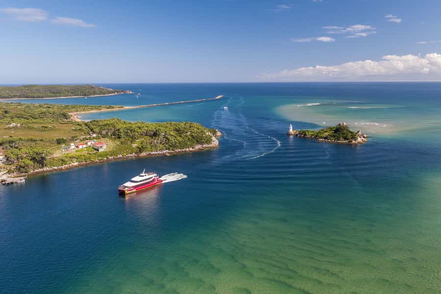 Strahan: World Heritage Cruise on Gordon River with Lunch - Who will enjoy this day most