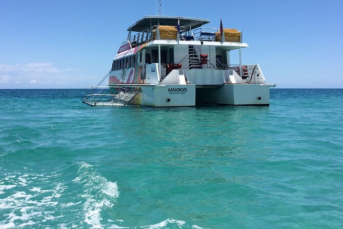 SUMMER K'gari (Fraser Island) Boom-net & Sightseeing Cruise - A warm-water cruise with a playful twist