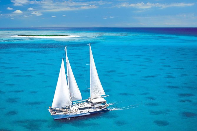 Sunlover Reef Cruises Cairns Great Barrier Reef Experience - Glass-bottom boats and underwater viewing