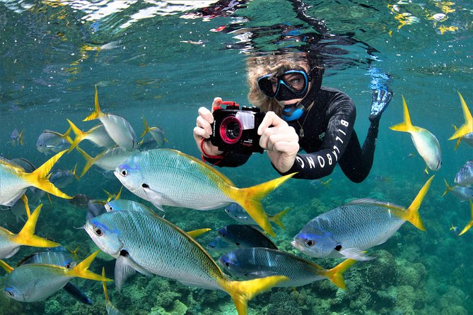 Sunlover Reef Cruises Cairns Great Barrier Reef Experience - Snorkeling from the pontoon