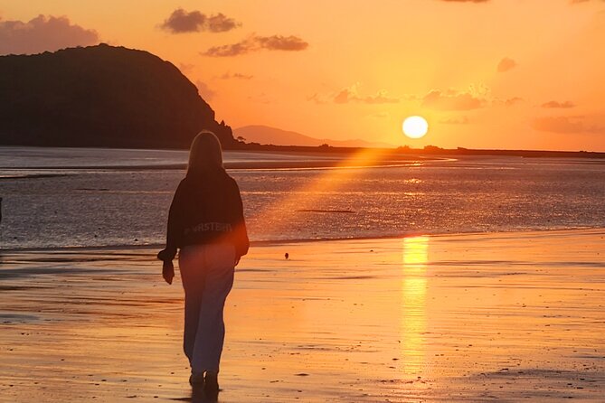 Sunrise with the kangaroos and wallabies - Weather, wildlife, and the risk of disappointment