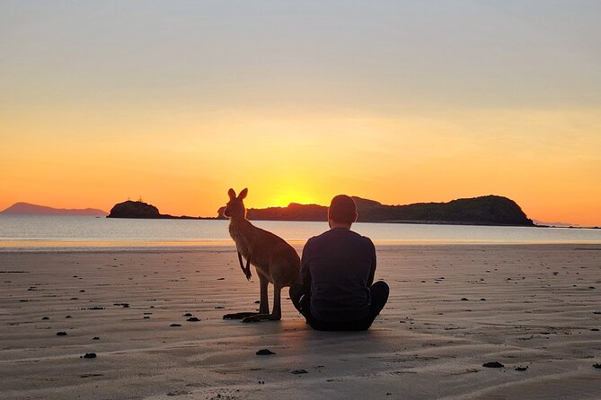Sunrise with the kangaroos and wallabies - Who will enjoy this sunrise outing most?