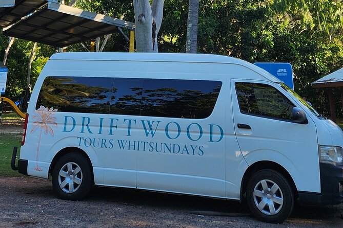 Sunrise with the kangaroos and wallabies - Practical advice before you book