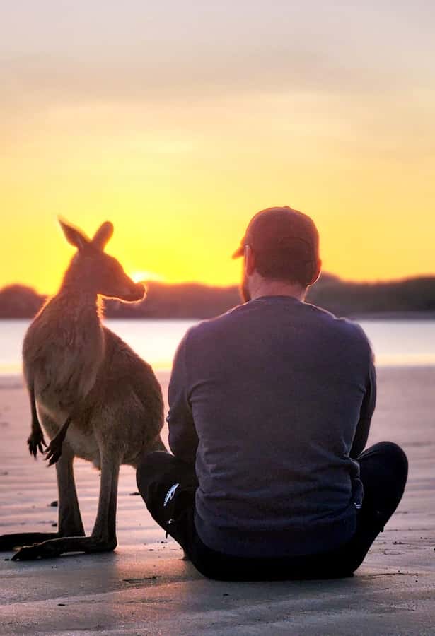 Sunrise with the Kangaroos & Wallabies - Airlie Beach - Is $109 good value?