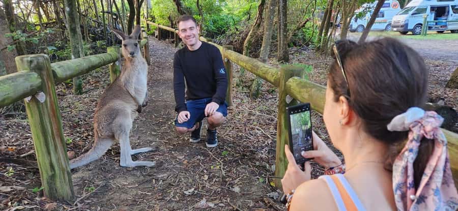 Sunrise with the Kangaroos & Wallabies - Airlie Beach - Who should book this Cape Hillsborough tour?