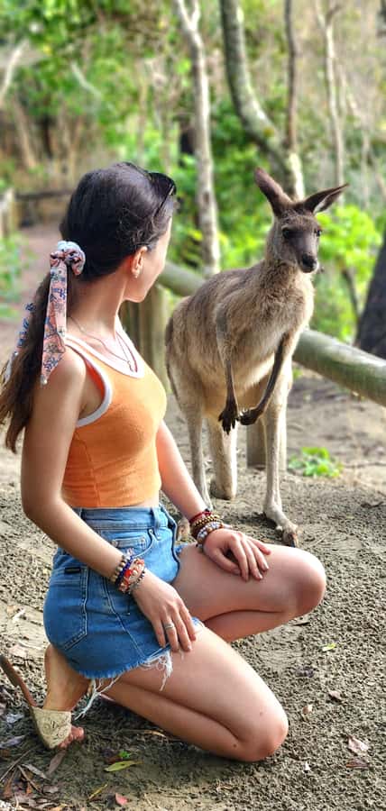 Sunrise with the Kangaroos & Wallabies - Airlie Beach - The 1:45 am-style start from Airlie Beach