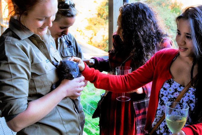 Sunset Experience - Meeting Tasmanian devils after closing time