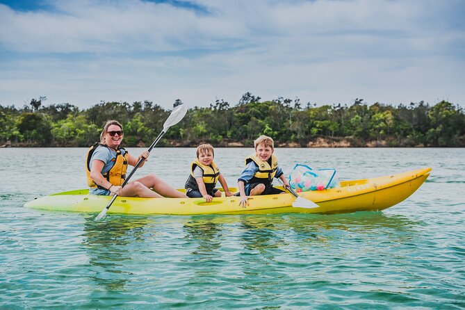 Sunset Kayak Eco Tour with Marine Scientist - Key points for your Boambee Creek outing
