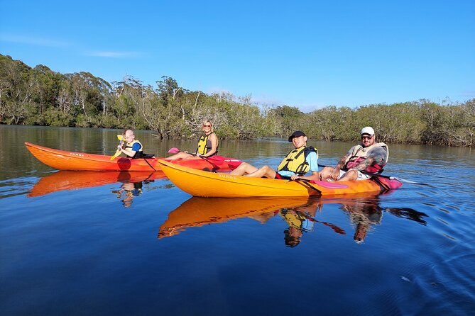 Sunset Kayak Eco Tour with Marine Scientist - Starting at C-Change Adventures in Toormina