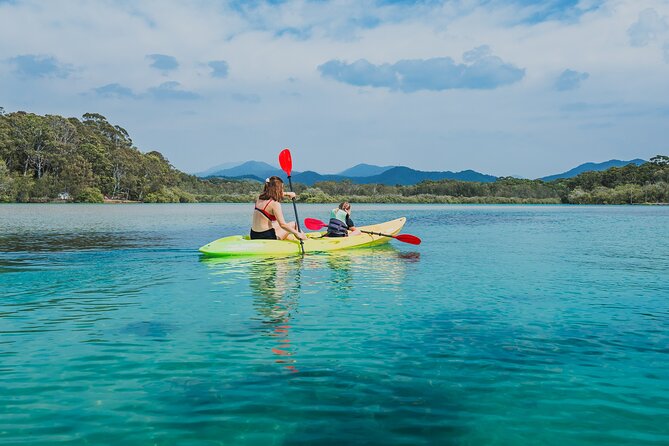 Sunset Kayak Eco Tour with Marine Scientist - Mangroves, birds, and animals at water level
