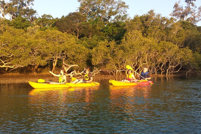 Sunset Kayak Eco Tour with Marine Scientist - Family comfort and practical planning