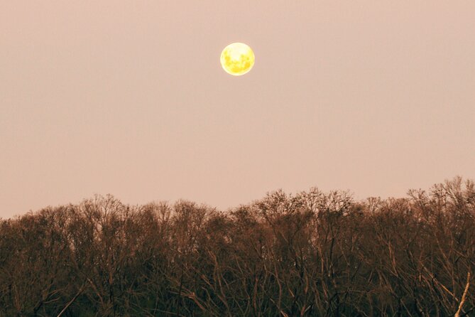 Sunset Nocturnal Adventure Tour - Who should book the sunset walk