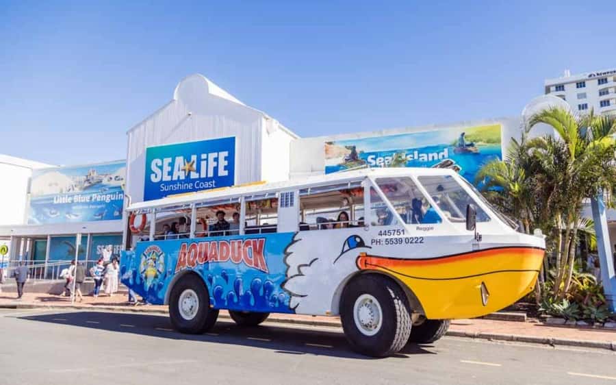 Sunshine Coast: 1-Hour Land and Water Tour - Why the Aquaduck works well in Mooloolaba