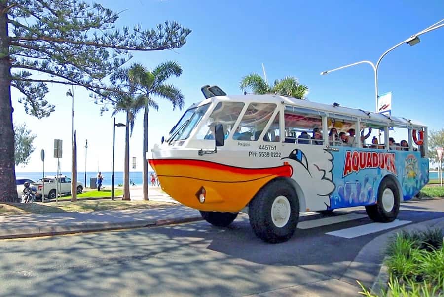 Sunshine Coast: 1-Hour Land and Water Tour - The splash into the Mooloolah River