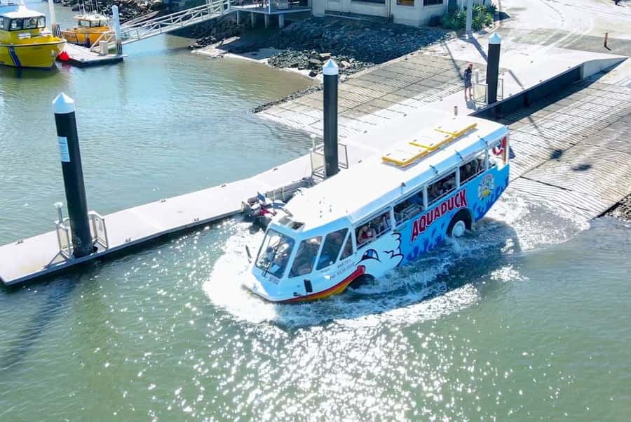 Sunshine Coast: 1-Hour Land and Water Tour - How to get the best hour