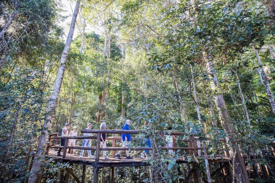 Sunshine Coast & Noosa Hinterland Scenic Culinary Experience - Winery tasting on Friday and Sunday