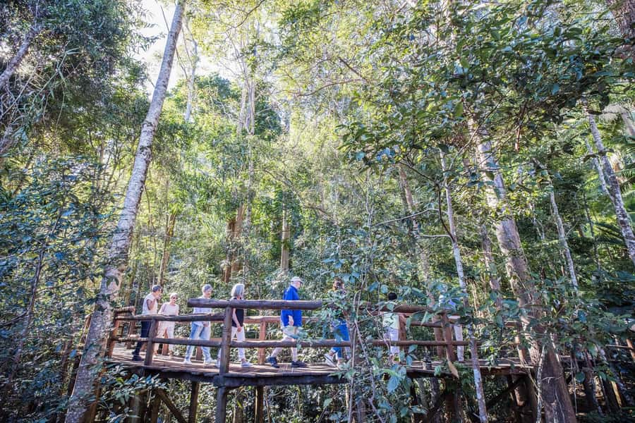 Sunshine Coast & Noosa Hinterland Scenic Culinary Experience - Mapleton Falls and the return down the range