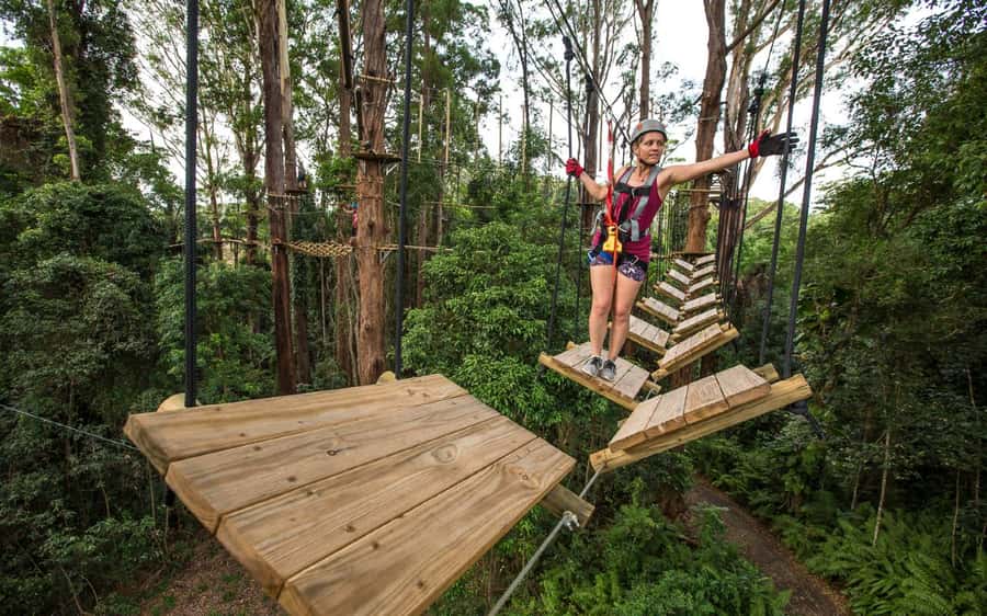 Sunshine Coast: Treetop Challenge Adventure Park - Starting beneath the Big Pineapple canopy