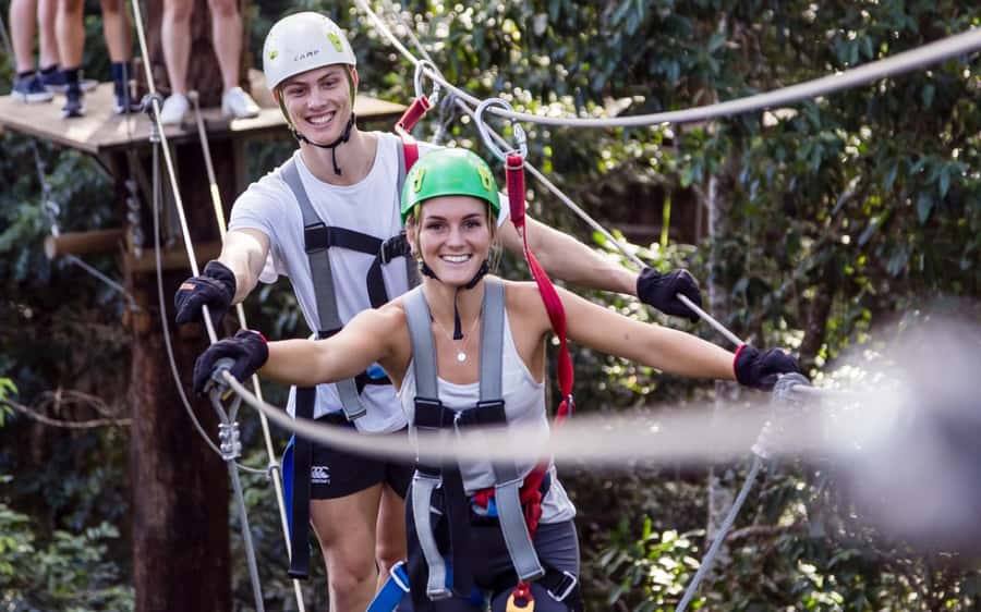 Sunshine Coast: Treetop Challenge Adventure Park - Course three brings the height and speed